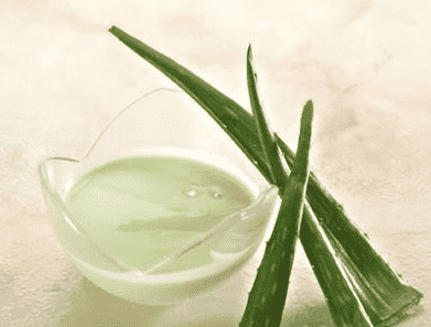 自制芦荟美白面膜 新鲜芦荟美容法 - 七丽女性