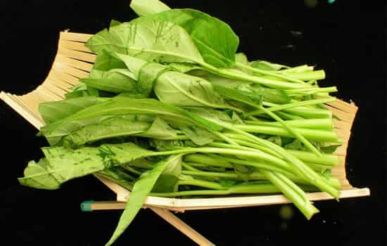 晚餐吃什么可以减肥,晚餐减肥吃什么好,减肥时