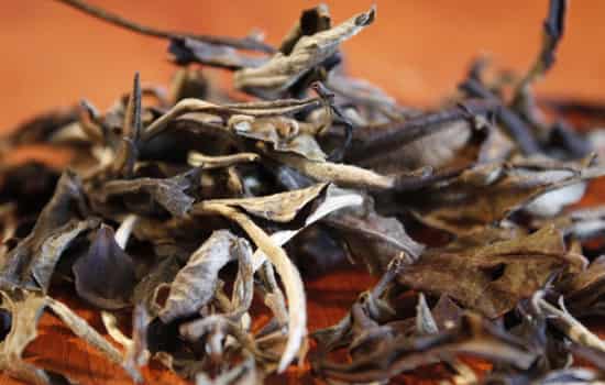 减肥茶排行榜前10名,减肥茶排行榜十强,减肥茶