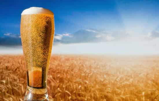 啤酒洗头的正确方法,啤酒洗头发的正确方法,用