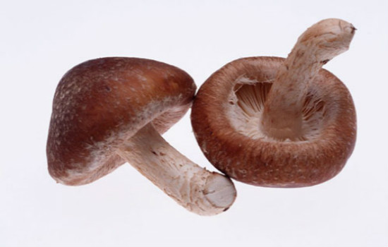 额头去皱纹的方法,额头除皱小窍门,额头皱纹怎