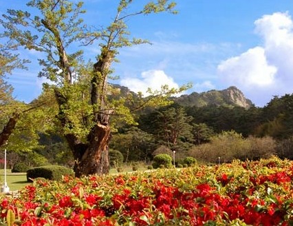 2012五一放假安排旅游攻略之 朝鲜旅游注意事