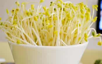 春季烂嘴角怎么办 6大妙招轻松化解 (7) - 七丽