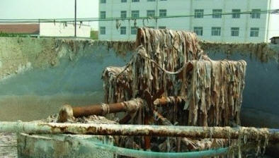 央视主持人曝老酸奶不能吃内幕 制作过程太恶