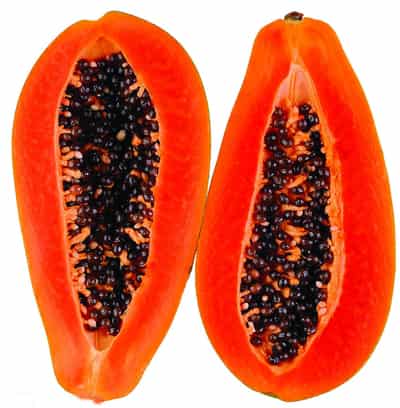 速塑身 - 修身纤体方法 - 网上购物论坛-中国最大