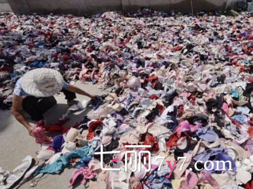 北京废品站<em>文胸</em>堆积如山 5毛钱一斤回收网友晒
