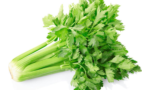 吃什么除口臭,口臭吃什么好的最快,吃什么食物