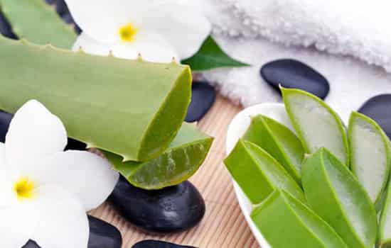 【推荐】新鲜芦荟擦脸|新鲜芦荟能直接擦脸吗