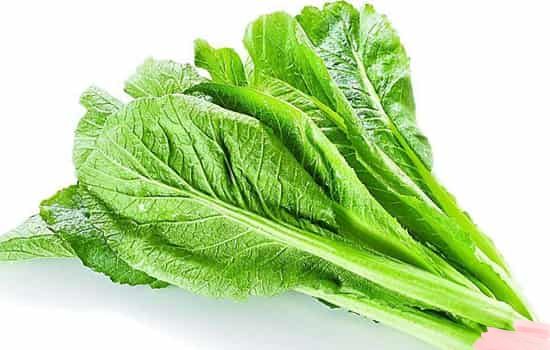 春分吃什么食物视频 58cb876d1bad6_550_0_water.jpg