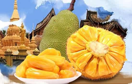 菠萝蜜剥开后保存方法