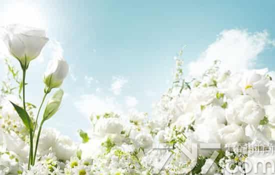 化妆品店叫什么名字好,化妆品店名大全洋气,化