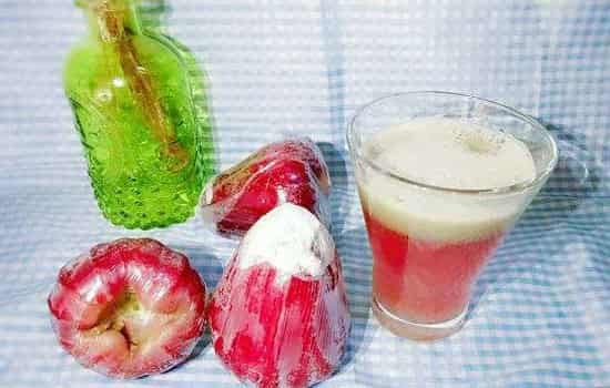 莲雾的功效与作用及禁忌症 - 七丽女性网