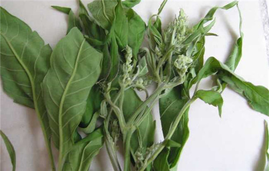 灰指甲偏方,灰指甲有什么偏方,治疗灰指甲的偏