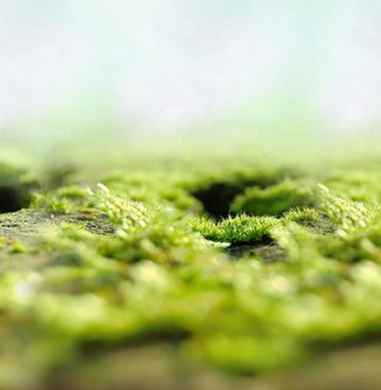 2018年2月19日黄历 黄道吉日吉时一览表