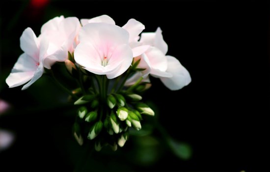 1 (67).jpg