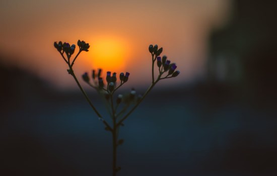1 (84).jpg