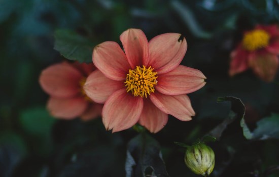 1 (143).jpg