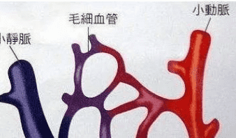 QQ拼音截图20171230173903.png