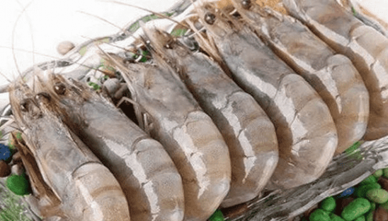 石上虾配什么煮水 5a658192c3189_550_0.png