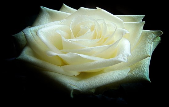 1 (80).jpg