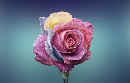 93.jpg