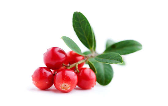 src=http-%2F%2Fdpic.tiankong.com%2Fgw%2Fke%2FQ**793180063.jpg&refer=http-%2F%2Fdpic.tiankong.jpg