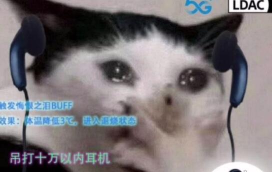 QQ截图20211104100523.jpg