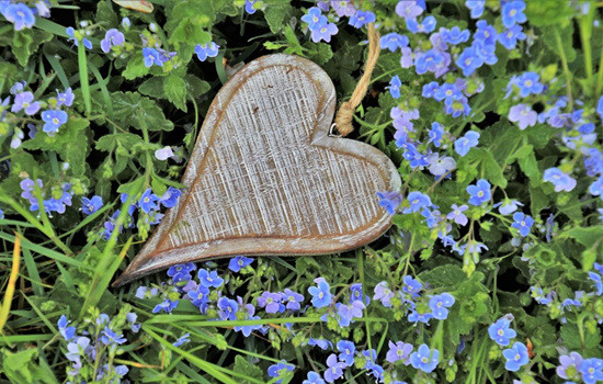 5fa282e7a196e_550_0.jpg