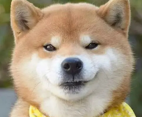 截图20220701163829.jpg