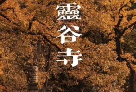 截图20220816150712.jpg