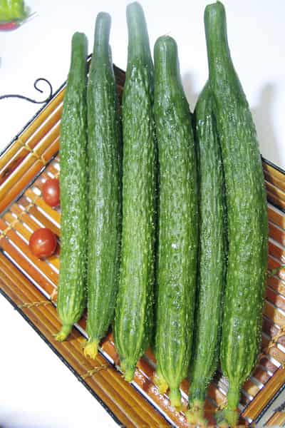 吃什么可以去斑养颜力荐8种平价美白蔬菜