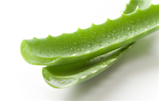 芦荟能直接擦脸上吗?芦荟补水面膜可以天天用吗