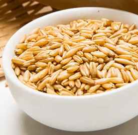 吃燕麦会回奶吗 燕麦怎么吃回奶效果好