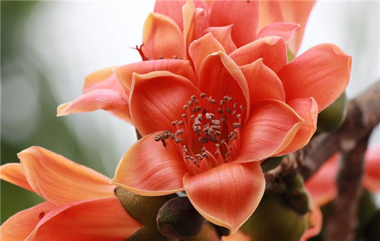 细菌性阴炎怎么根治,细菌性阴炎怎么治,细菌性