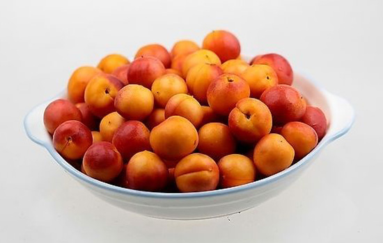 杏子吃多了会怎么样 吃多杏子9大毛病找上门