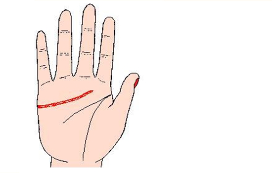 感情线短的男人好吗