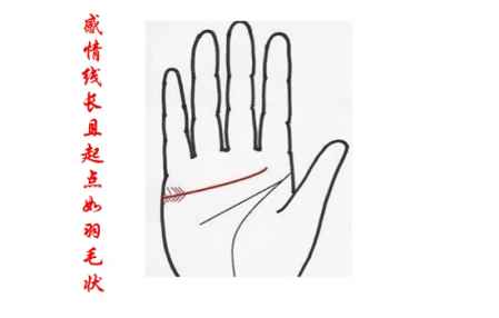 什么是人鱼线图解 5954c4d916ff4_450_0.jpg