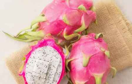 火龙果什么时候吃最好 吃火龙果的最佳时间你