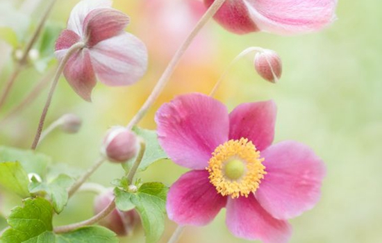 关于教师节的诗句古诗 古人都是这样写诗赞美