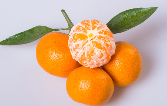 桔子有哪些品种分享好吃的十大橘子