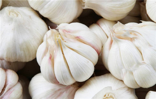 大蒜泡酒可以放冰糖吗,大蒜泡酒加冰糖可以吗