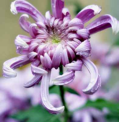 2017年安床方位,安床方位床头朝,床头朝哪个方