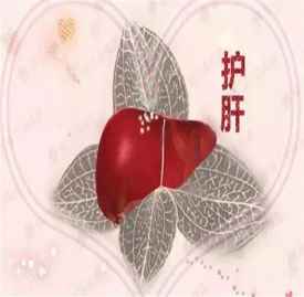 吃什么对肝脏最好又能排毒 5a095181473b3_275_275.jpg