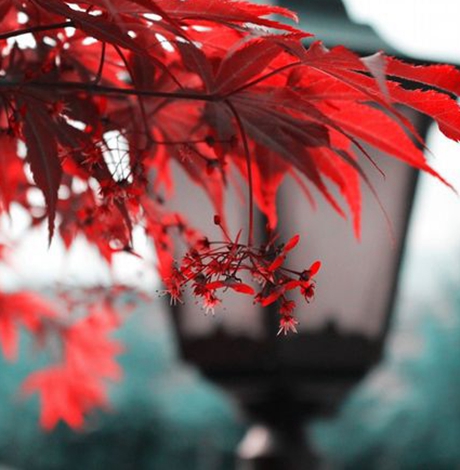 日历2018日历黄道吉日搬家