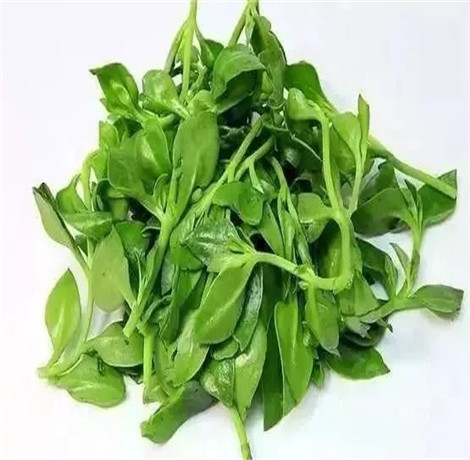 天然的消炎药  吃这三种食物小病轻松解决