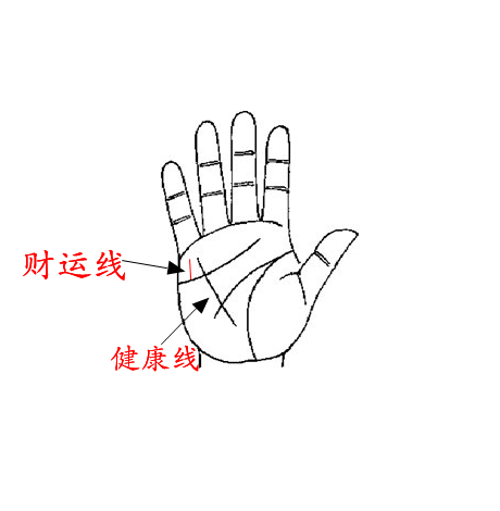 健康线和财运线的区别 教你准确认识健康线和财运线