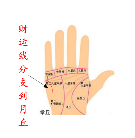 财运线分支到月丘 纹路清晰者人缘极好