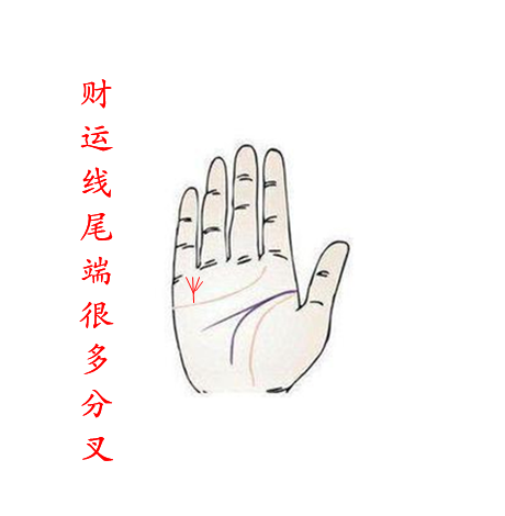 财运线尾端很多分叉 善于察言观色的手相
