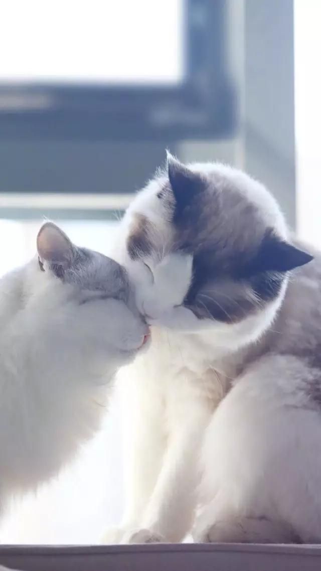 约会妆怎么画 一款小性感约会妆教程