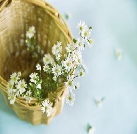 正常减肥体重下降规律